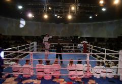 U Sarajevu održan 21. Memorijalni kickboxing turnir "Braća Bašović"